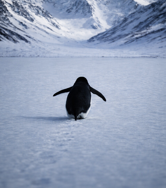 Sıradanlığa sığamamak